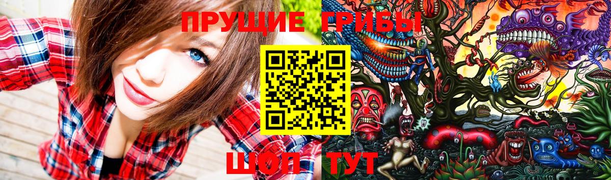 Малгобек  Галлюциногенные грибы ЛСД  Вход с VPN 
